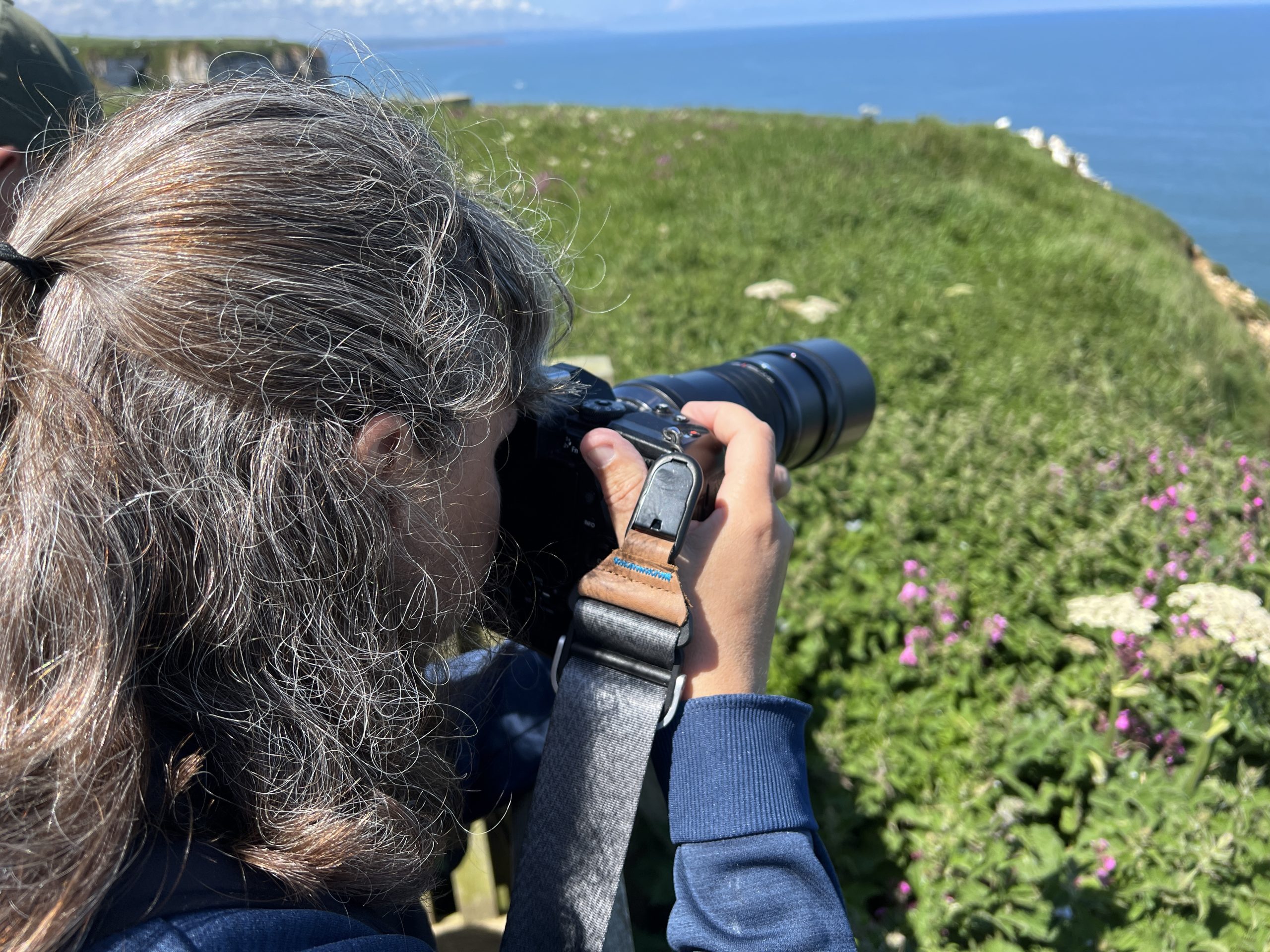 Läs mer om artikeln Bempton cliffs