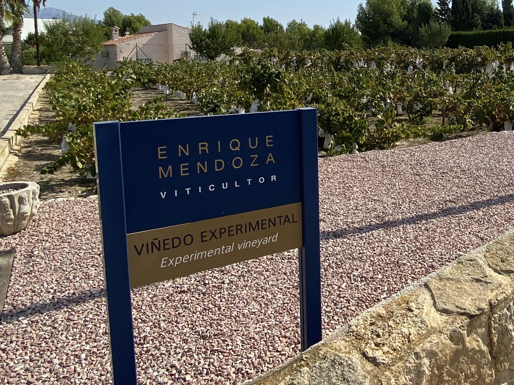 Läs mer om artikeln Enrique Mendoza