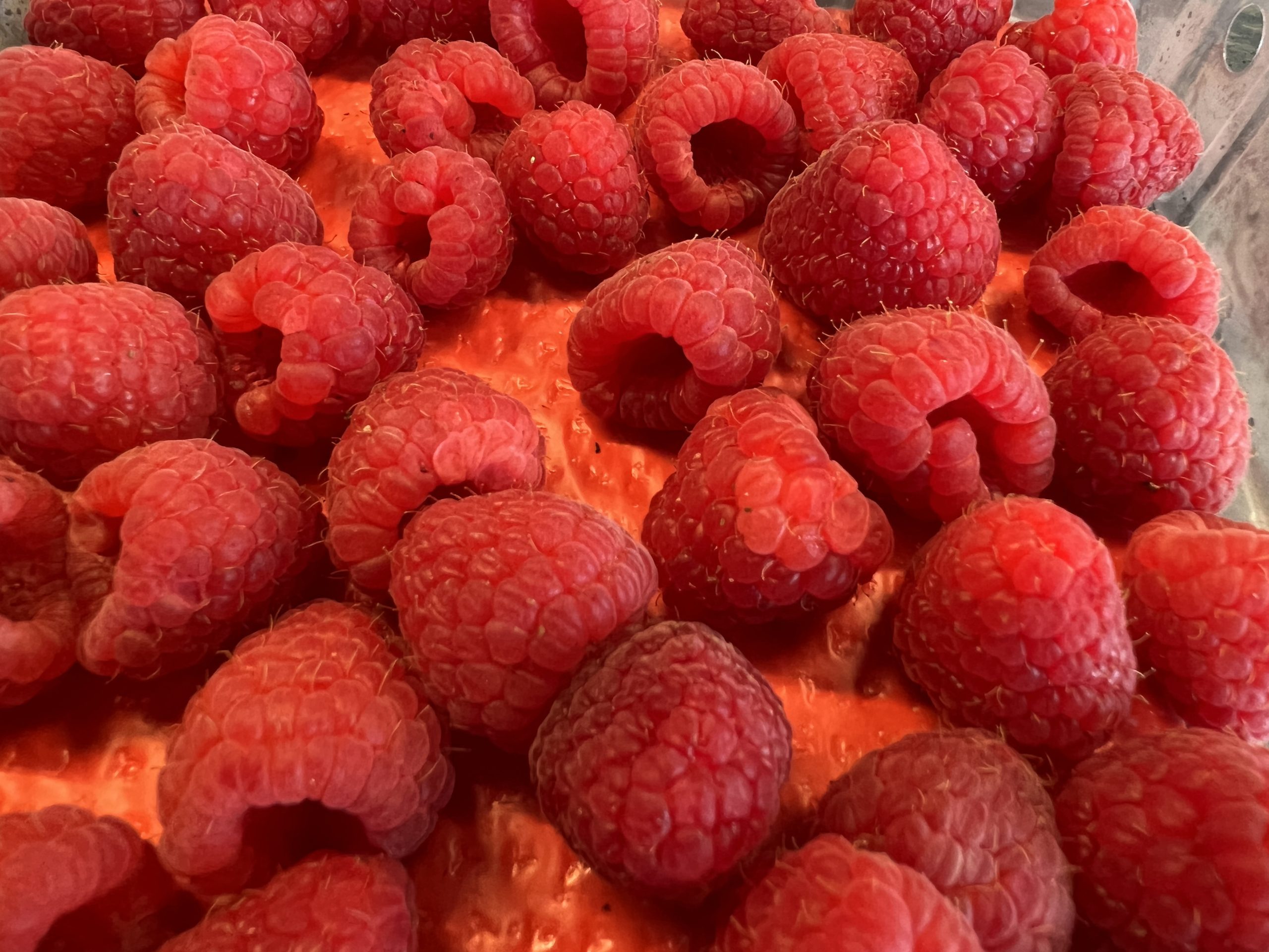 Du visar för närvarande Hallonsorbet