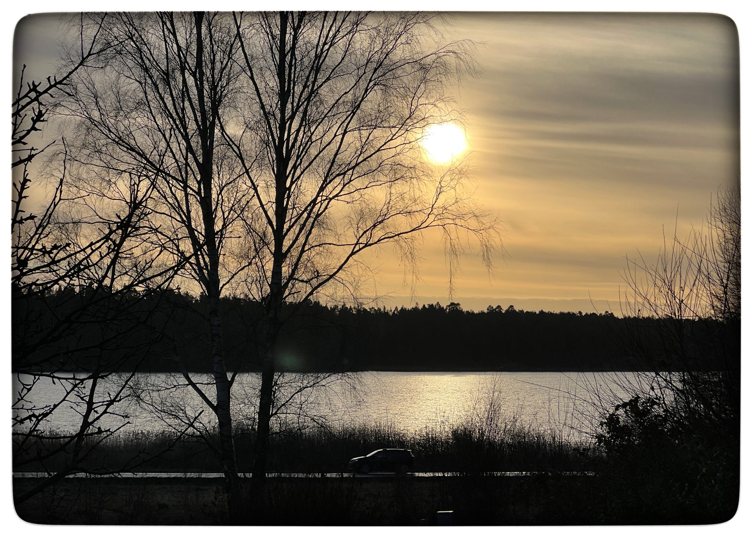 Läs mer om artikeln Jul i Sverige