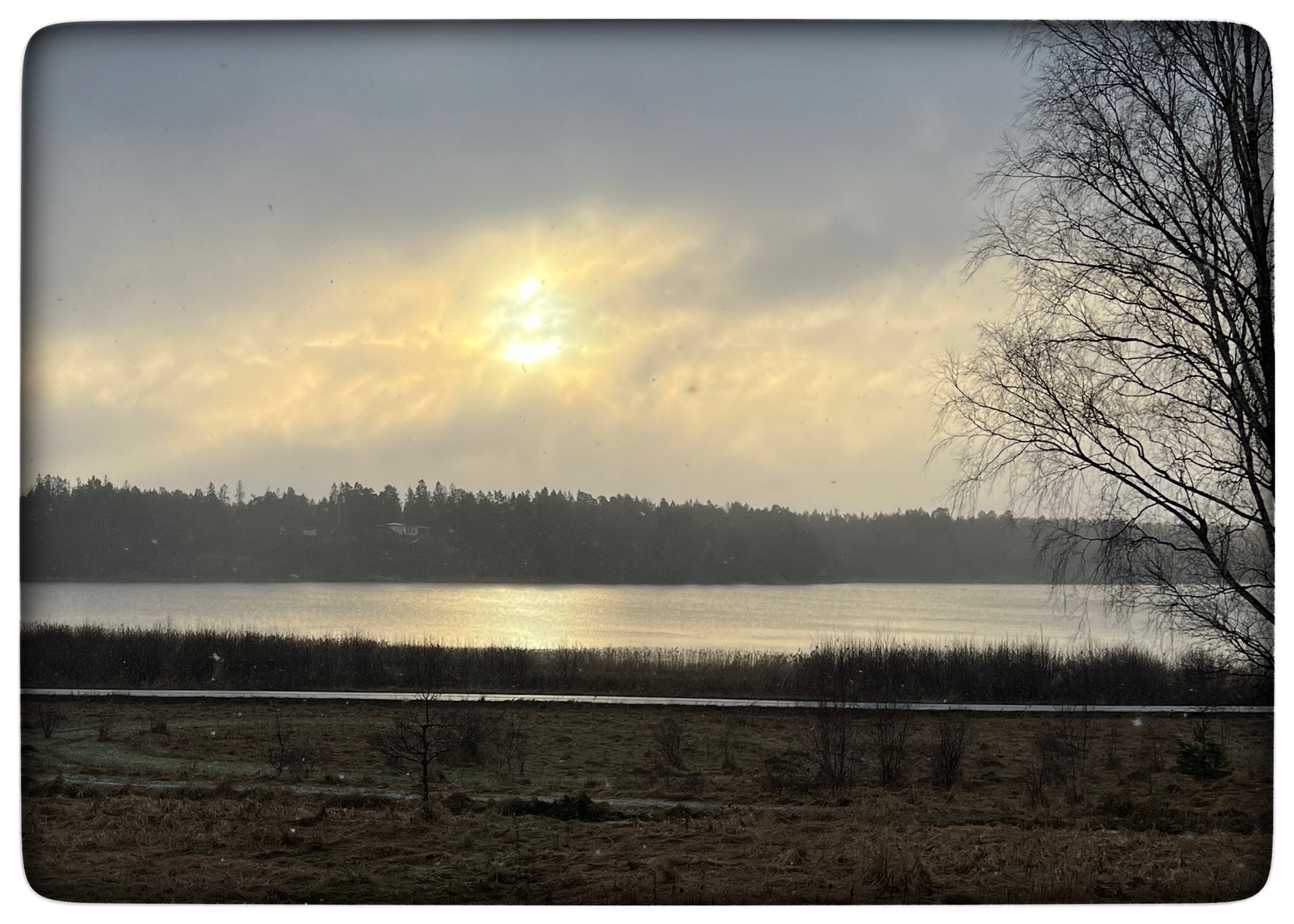 Läs mer om artikeln Jul i Sverige