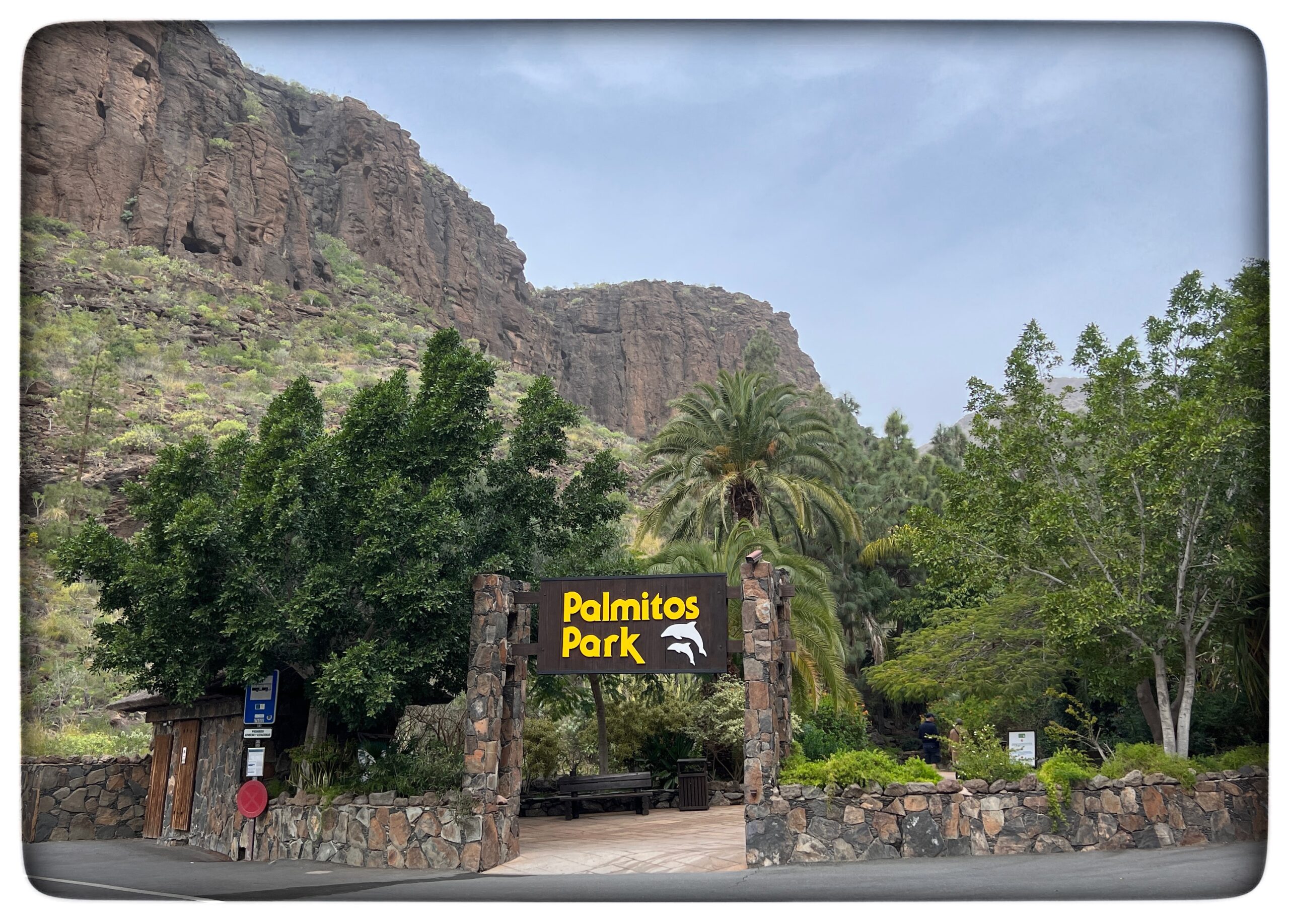 Läs mer om artikeln Gran Canaria
