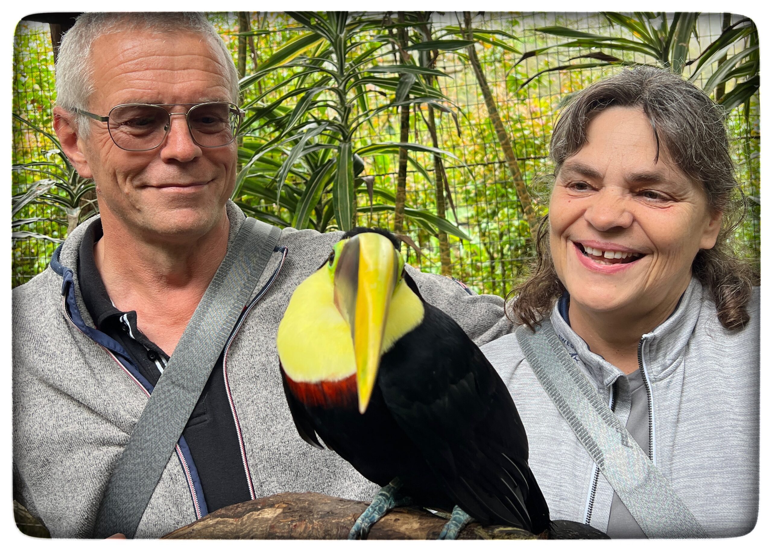 Läs mer om artikeln Costa Rica