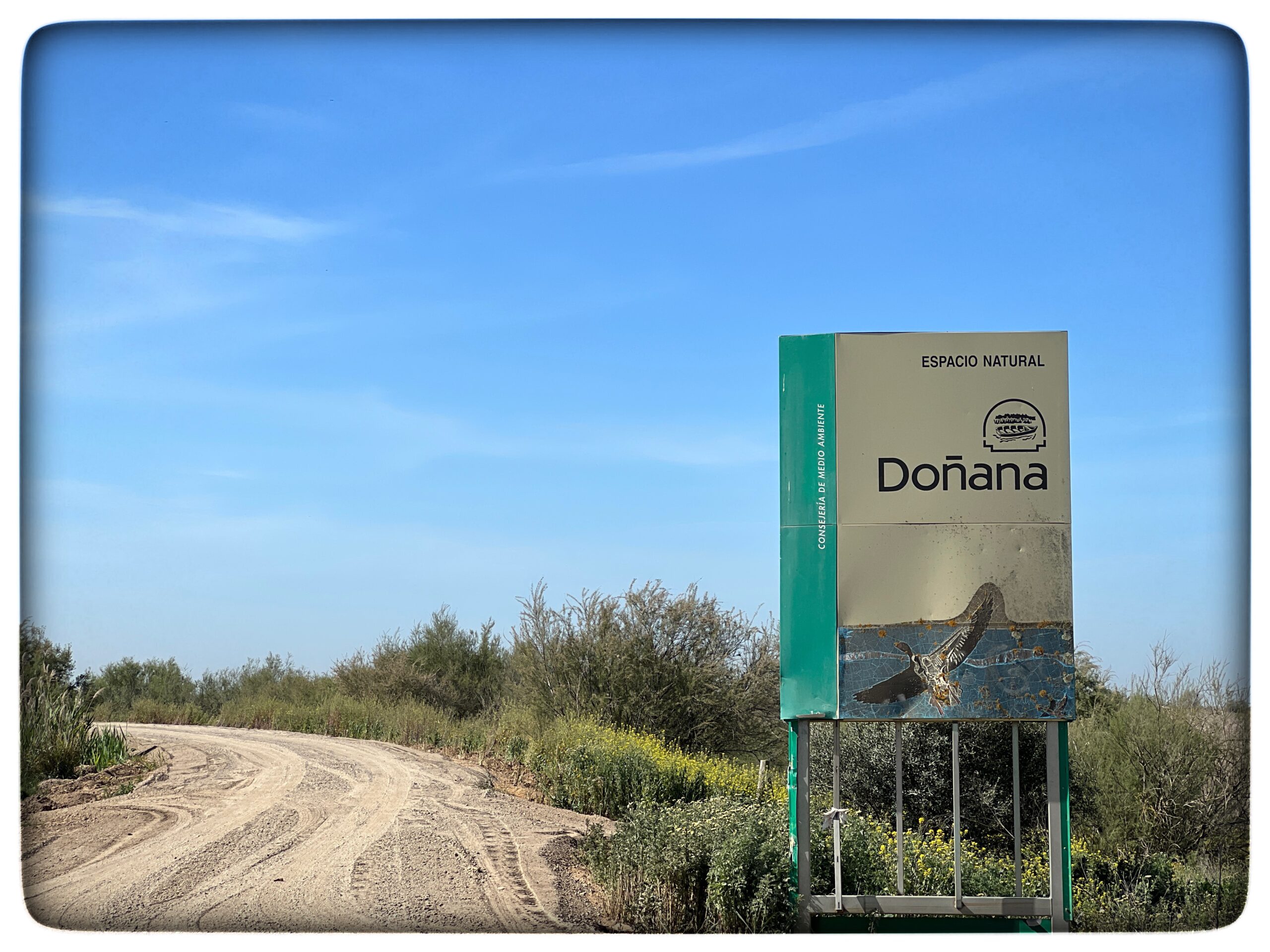Läs mer om artikeln Parque Nacional de Doñana