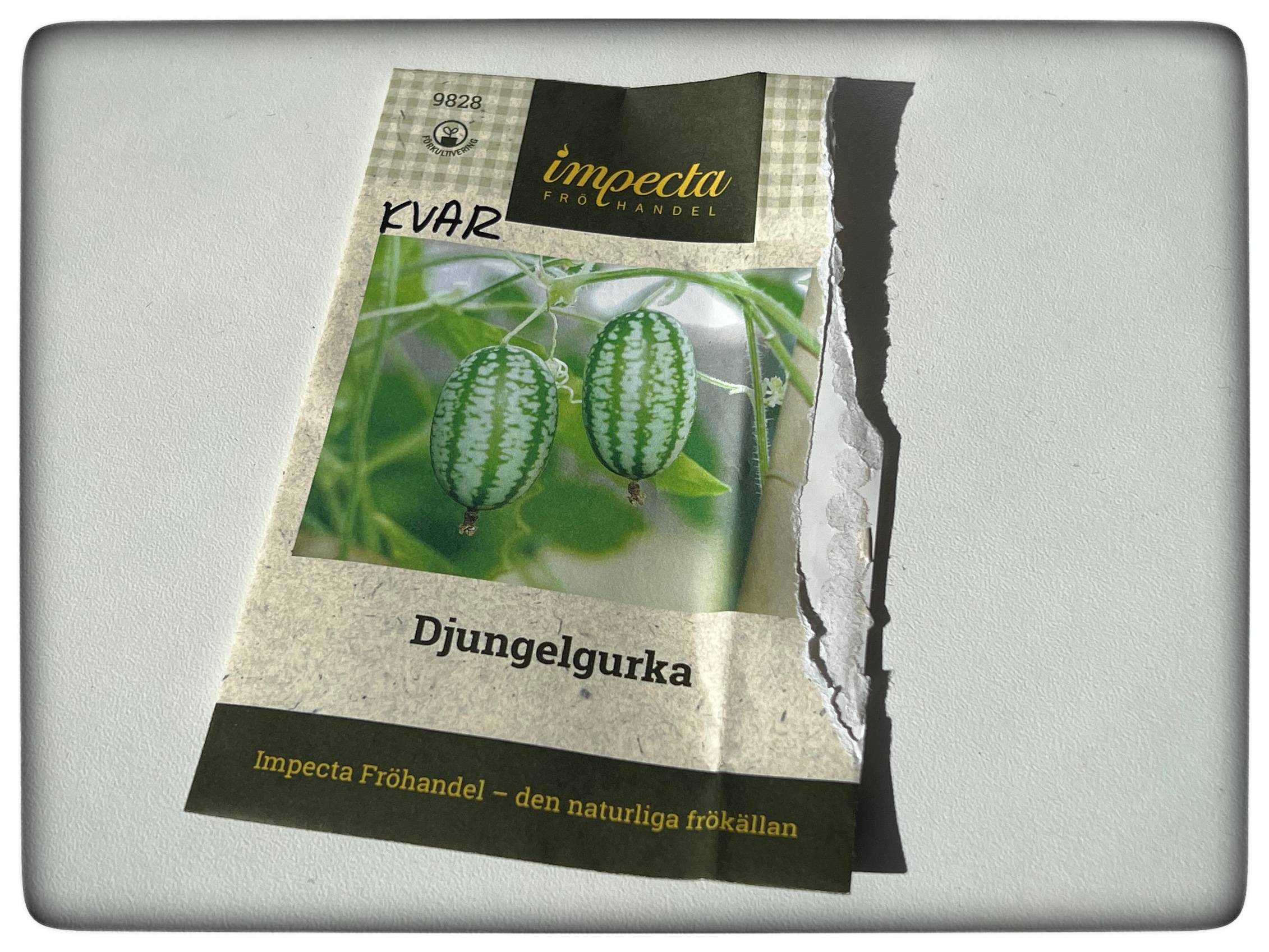 Du visar för närvarande Djungelgurkor
