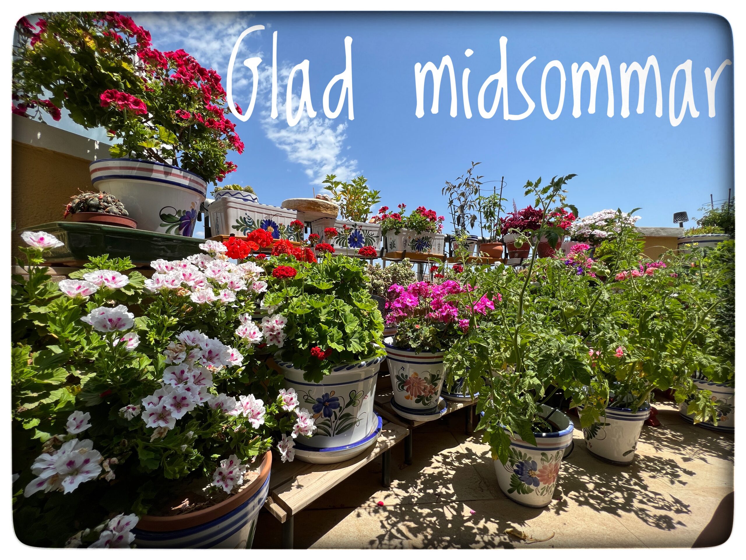 Du visar för närvarande Midsommarafton