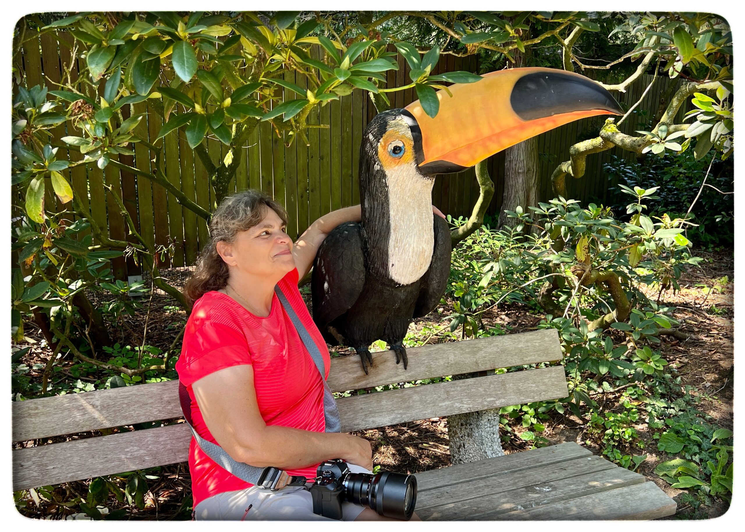 Du visar för närvarande Birdlady…