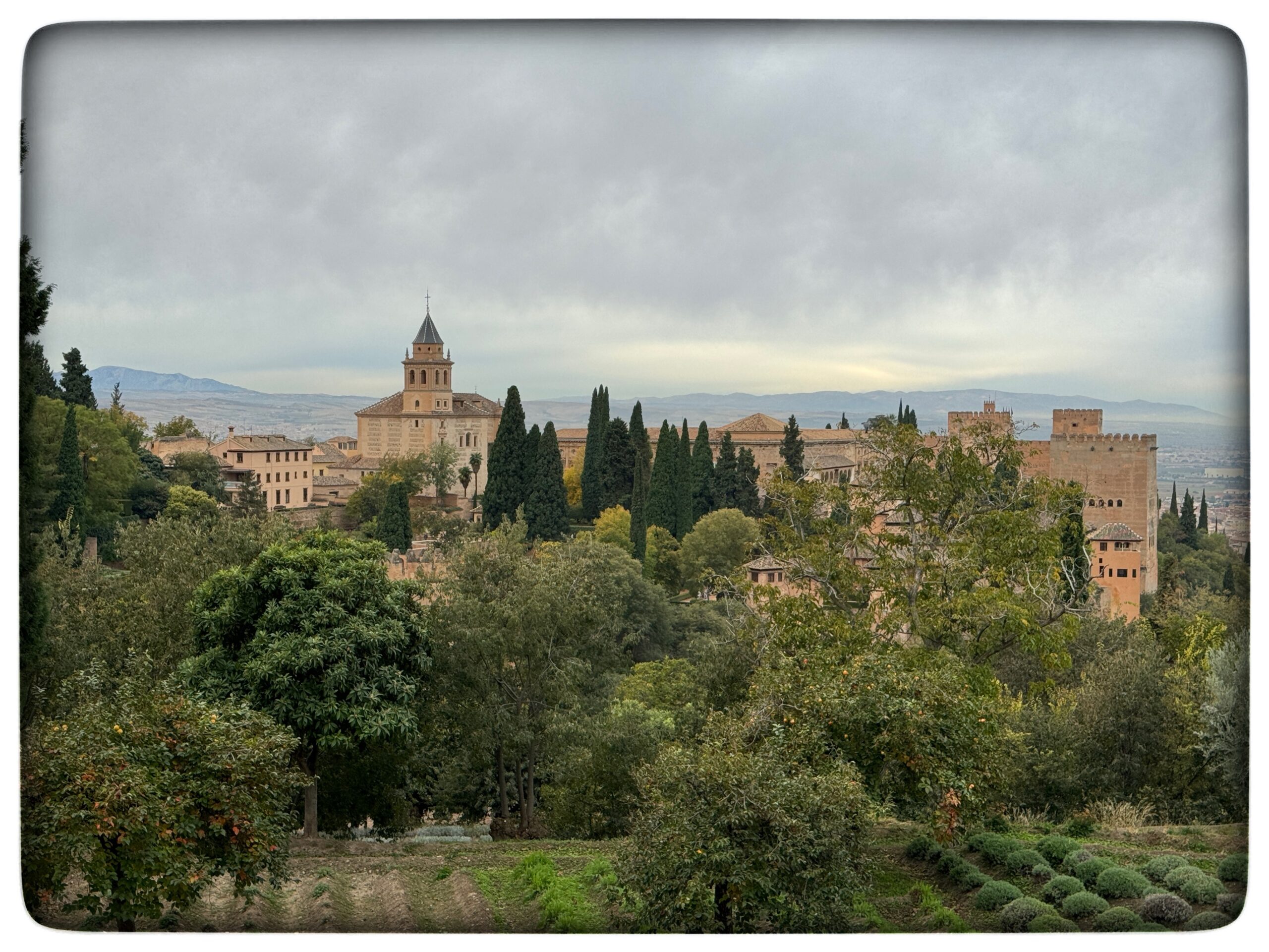 Läs mer om artikeln Alhambra