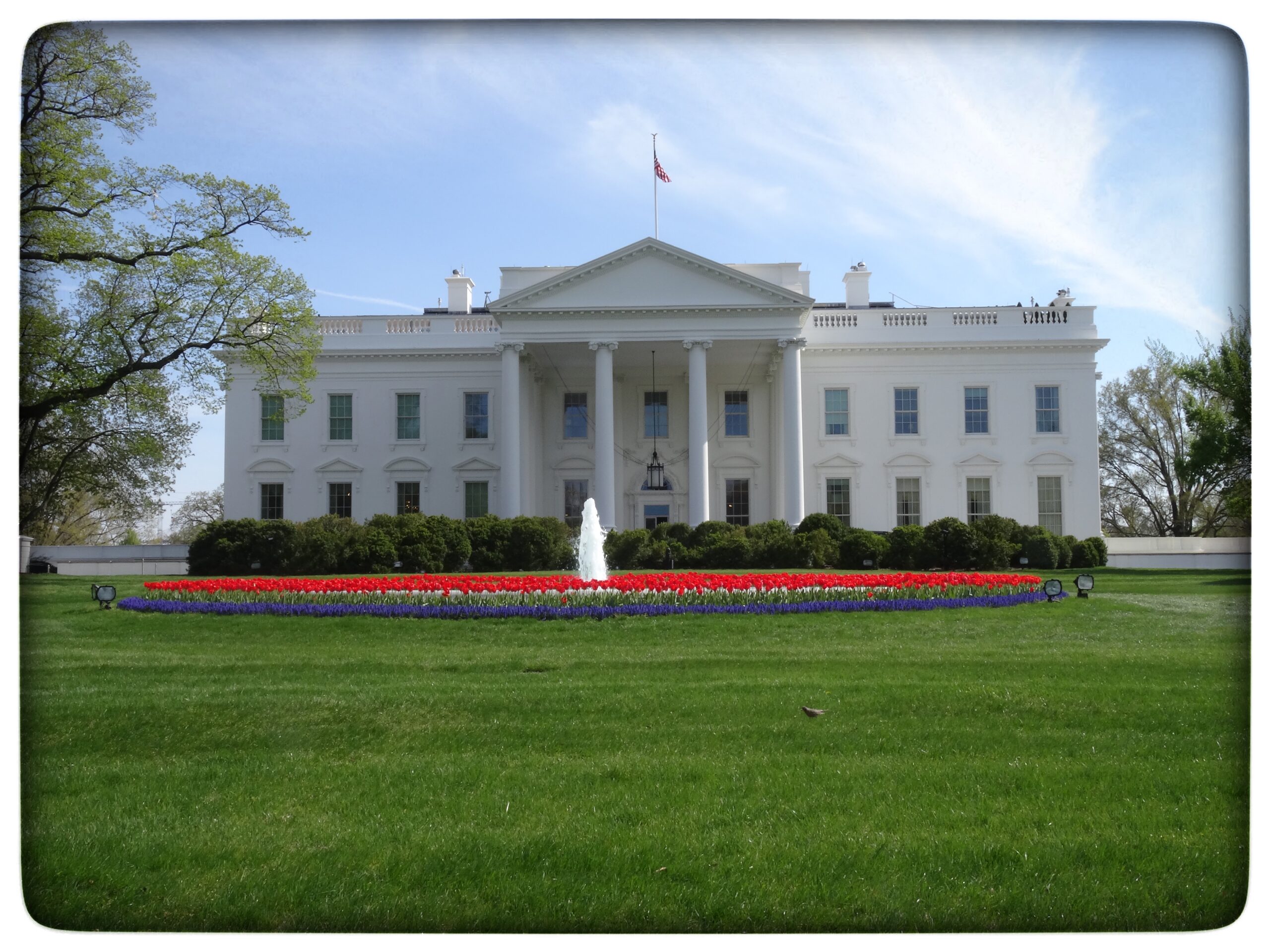 Läs mer om artikeln Washington