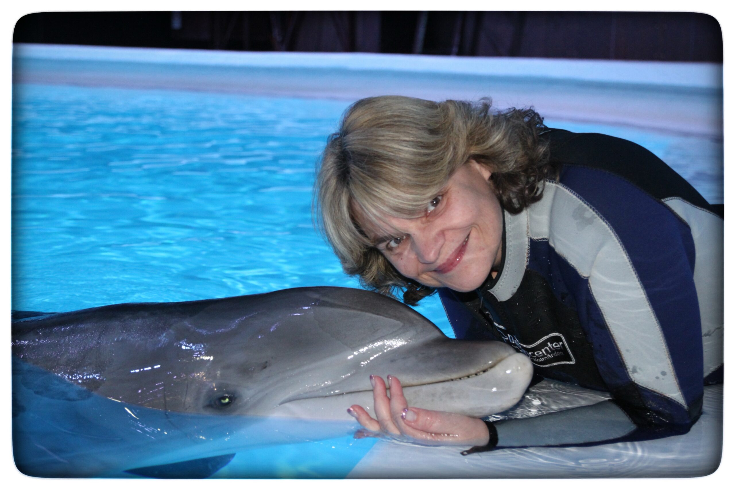 Du visar för närvarande Delfinariet, Kolmården 2013