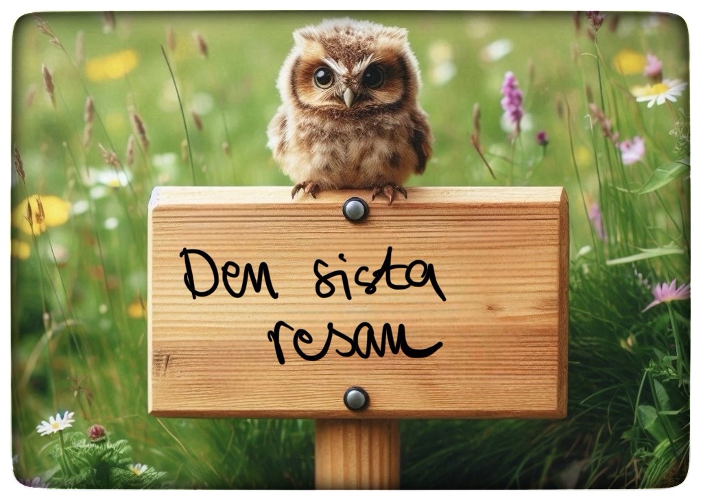 Läs mer om artikeln Filmtips