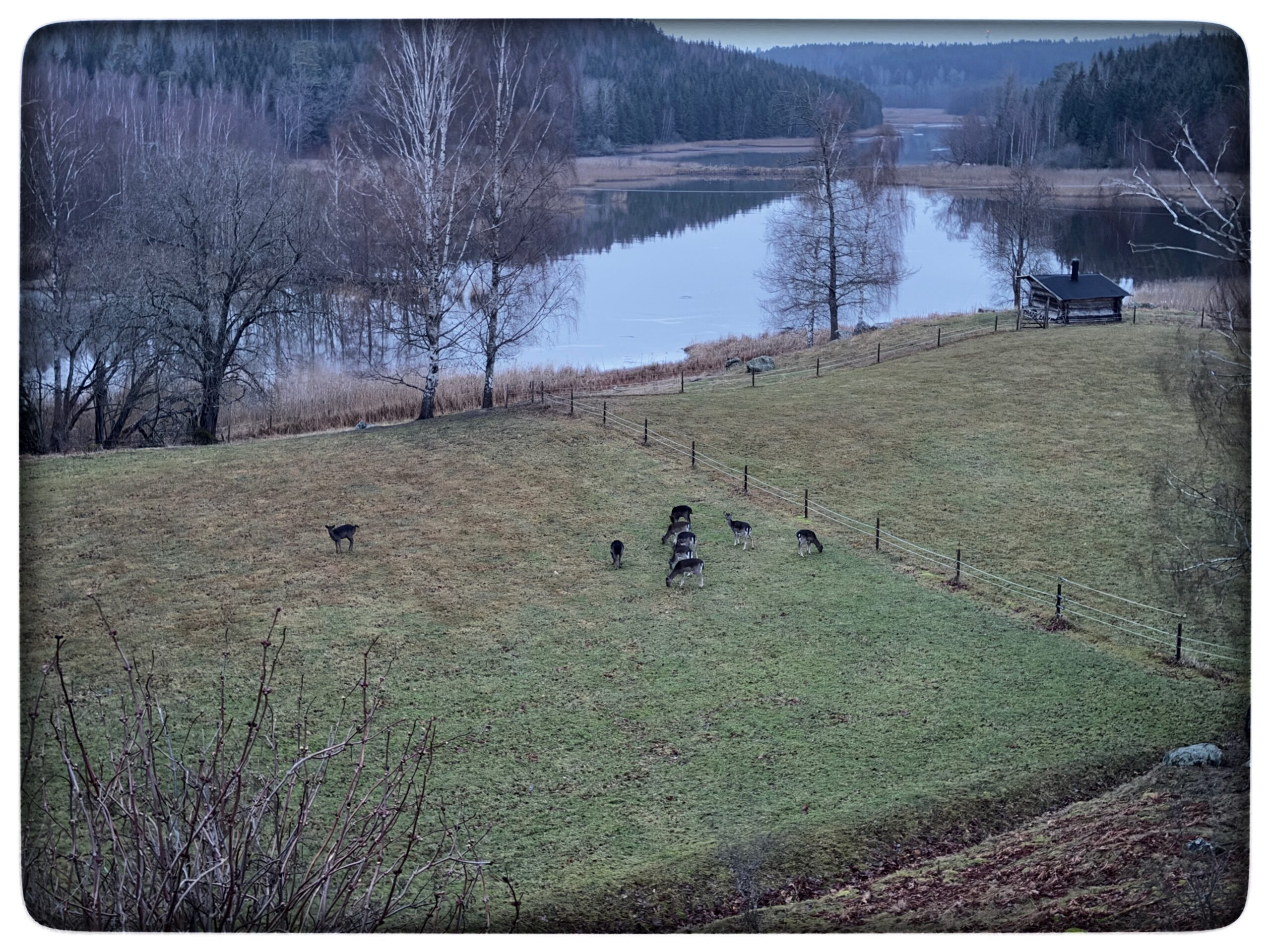 Läs mer om artikeln Sverige