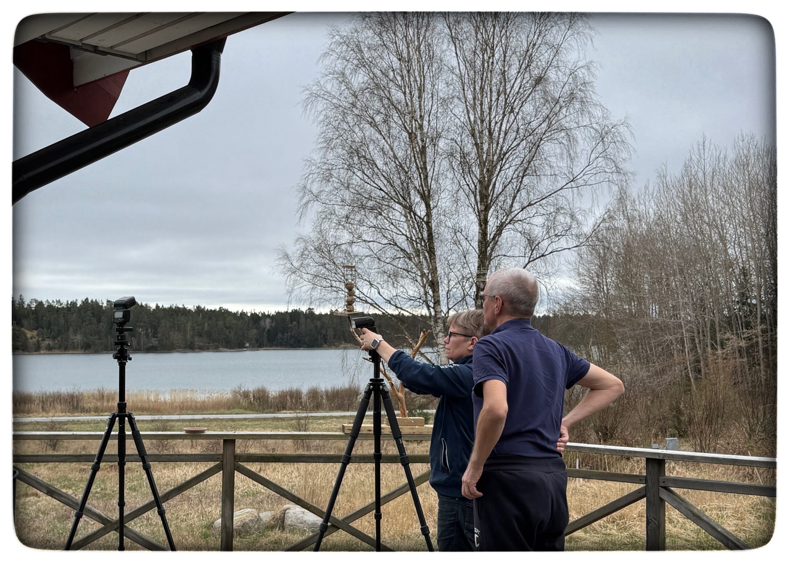 Du visar för närvarande Värmdö