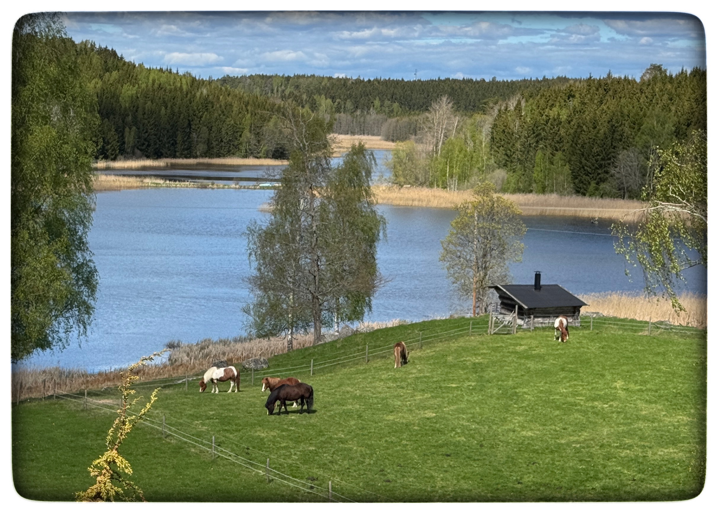 Du visar för närvarande Stjärnhov