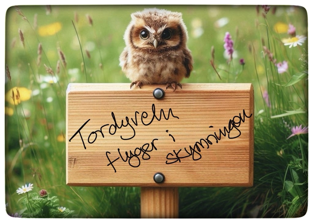 Du visar för närvarande TV-serietips