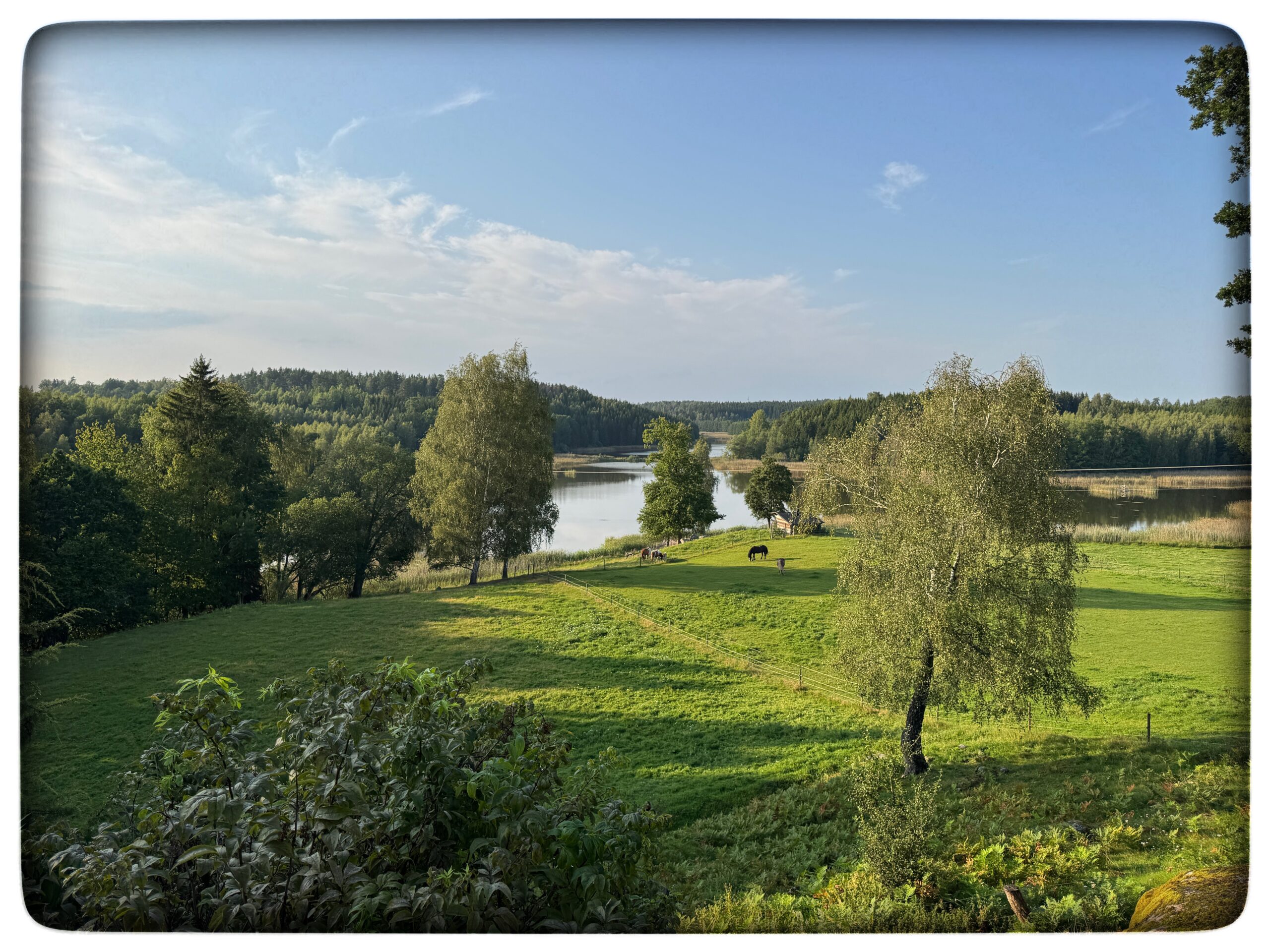 Läs mer om artikeln Dag 9 i Sverige