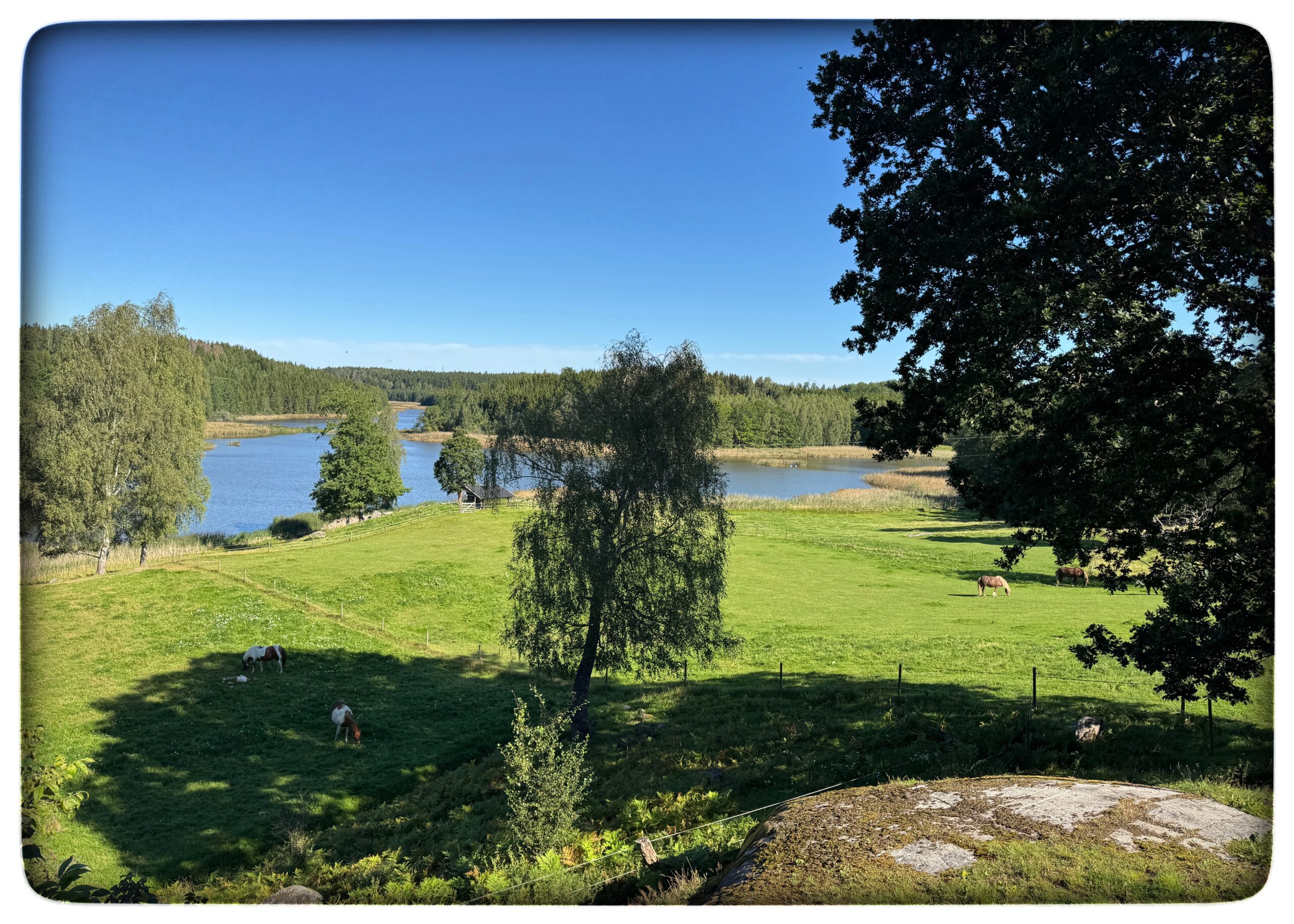 Läs mer om artikeln Dag 10 i Sverige