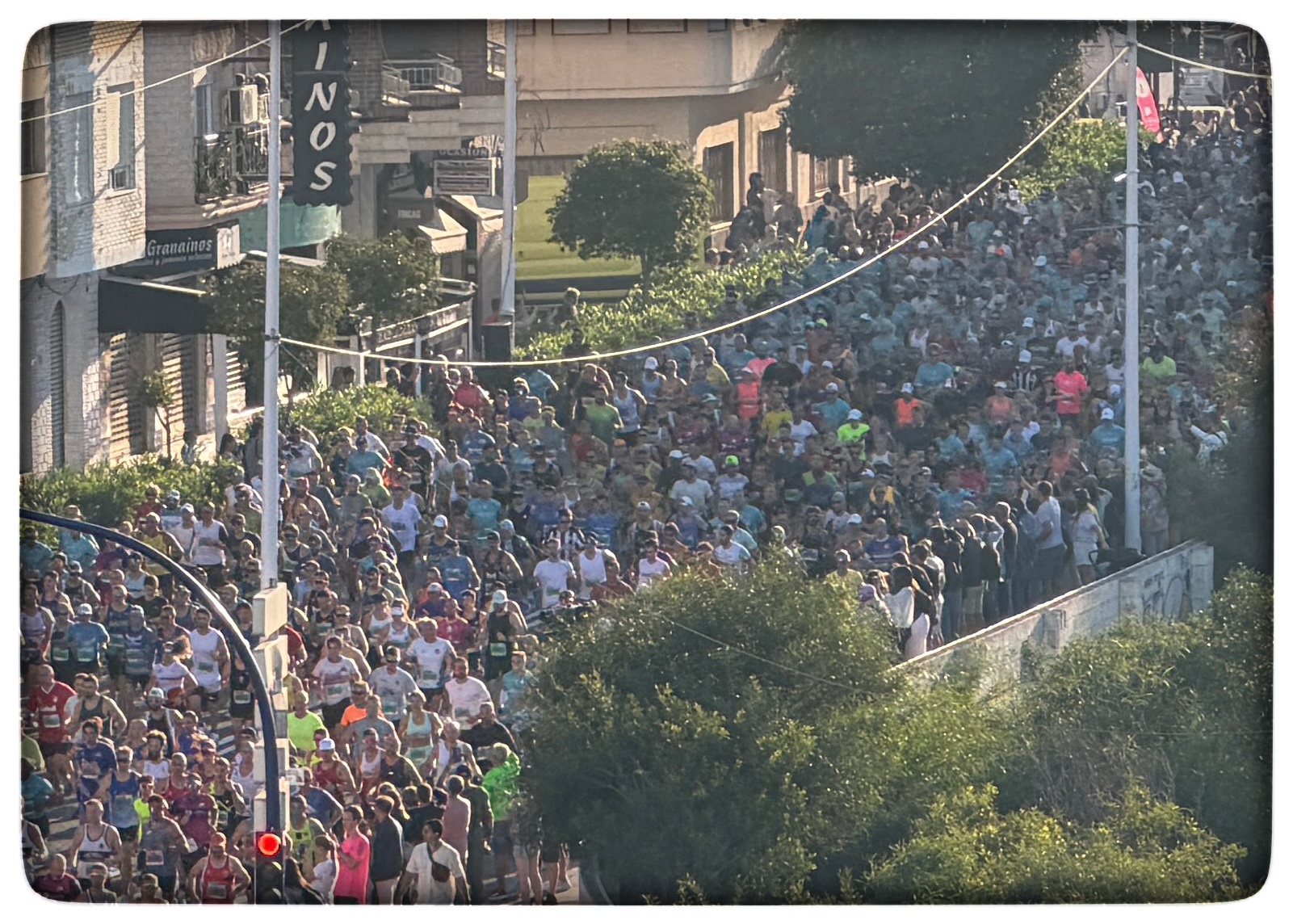 Du visar för närvarande Medio Maratón Internacional Torrevieja