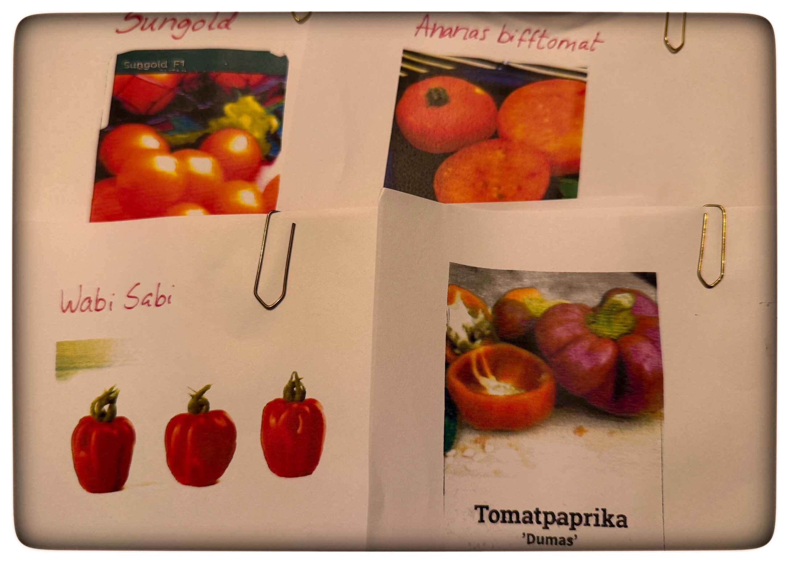 Läs mer om artikeln Uppdatering av tomaterna