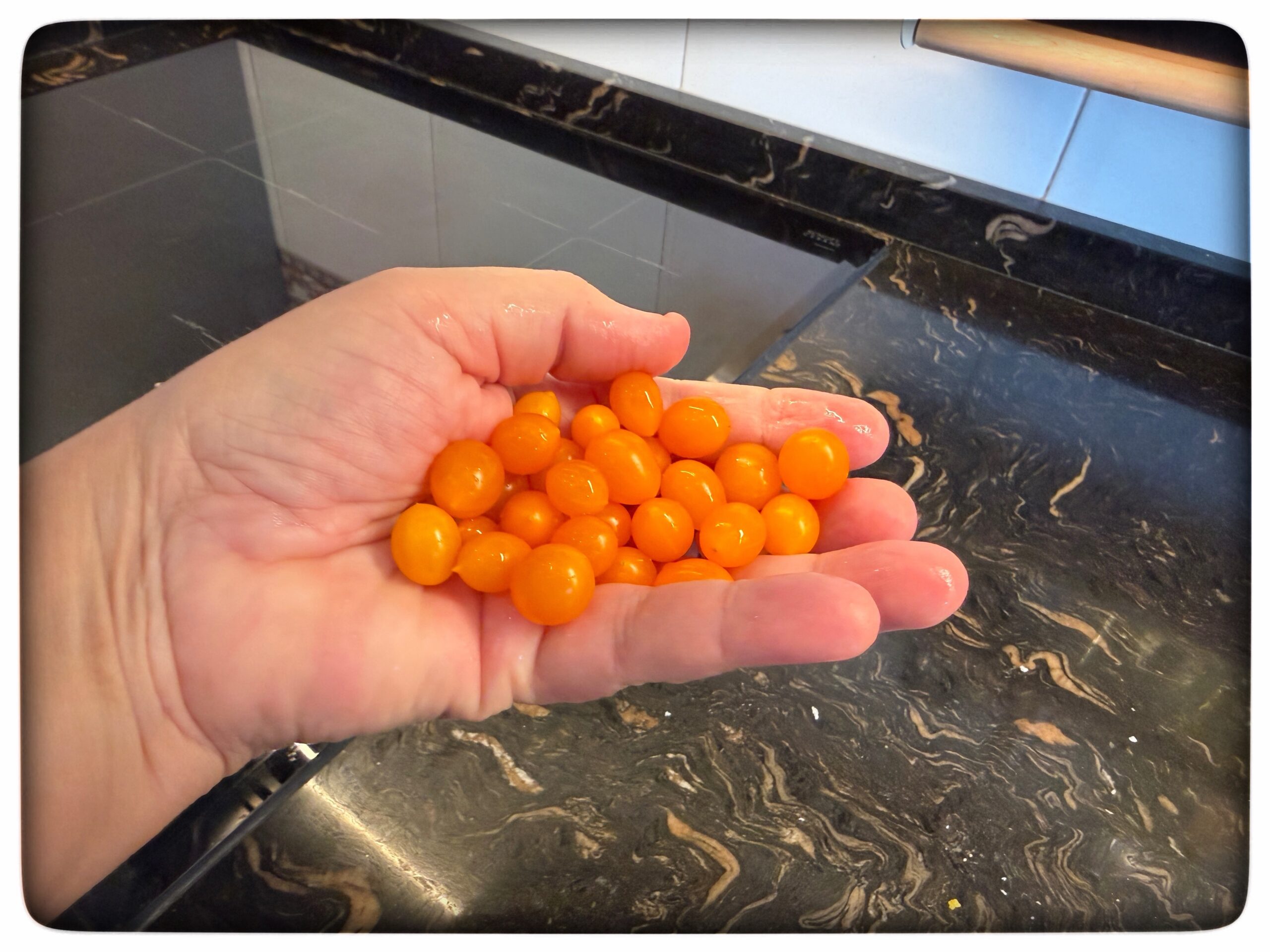 Läs mer om artikeln Tomaterna
