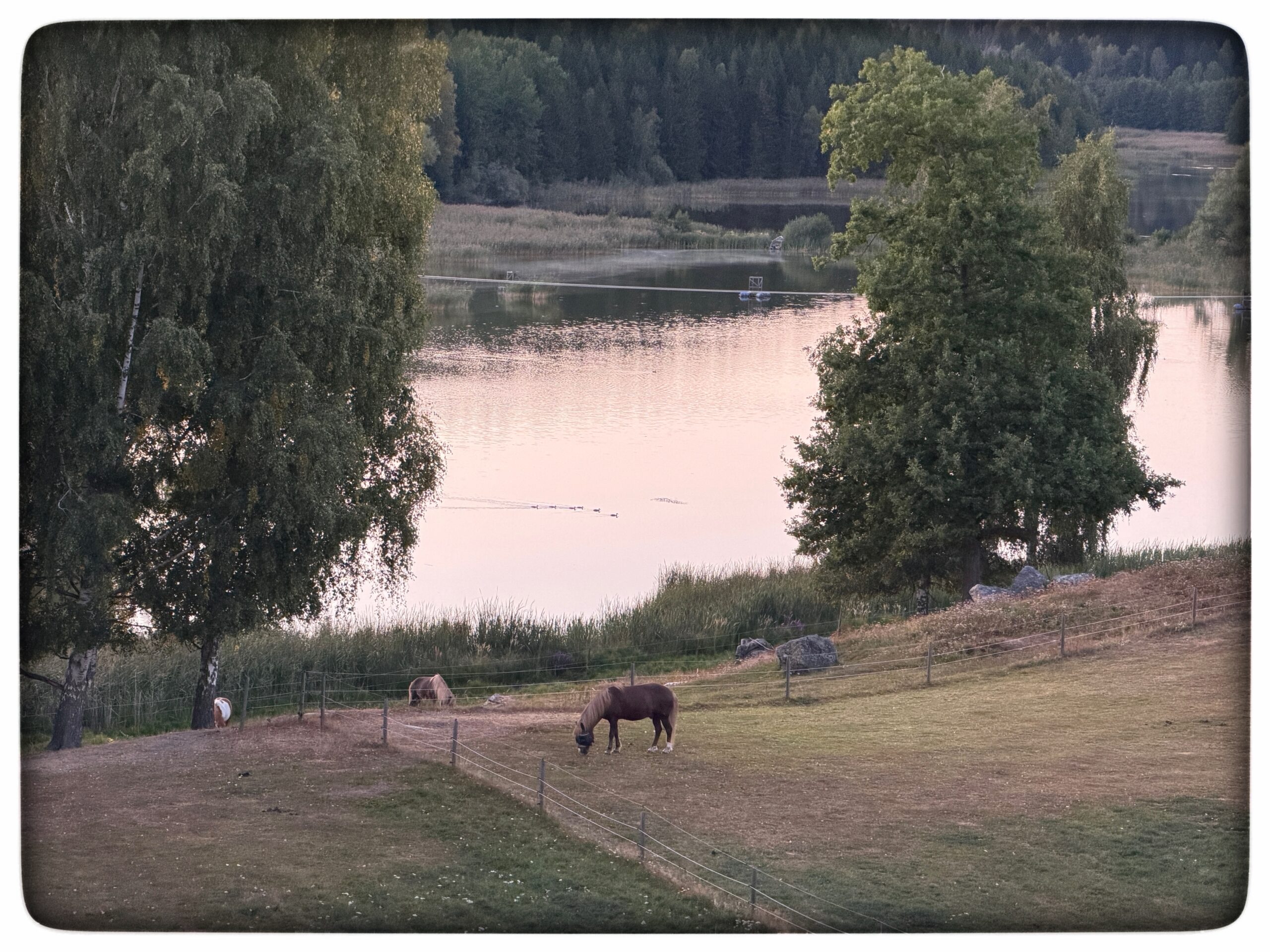 Läs mer om artikeln Sverige